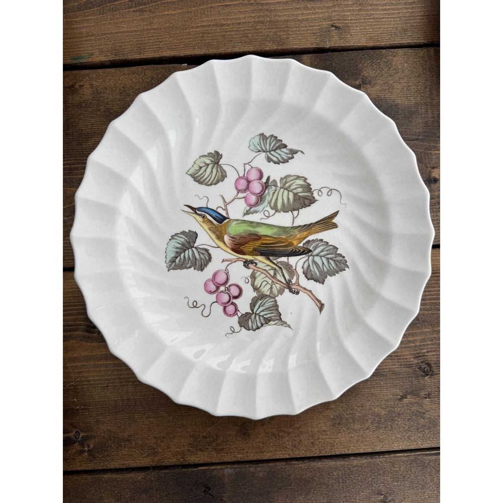 Copeland Spode RED EYED VIREO England 9" Bird Collector Plate Vintage 1960-70s